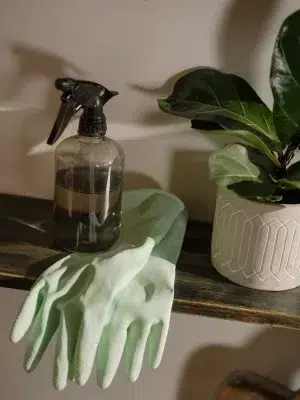 Produit d'entretien en vaporisateur posé sur une étagère avec des gants de ménage et une plante verte